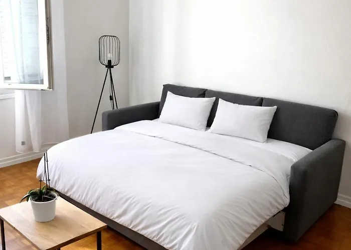 Magnifique 11ème Appartement Paris